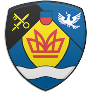 댈러스 매버릭스 엠블럼