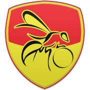 댈러스 매버릭스 엠블럼