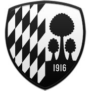 애틀랜타 호크스 엠블럼