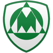 애틀랜타 호크스 엠블럼