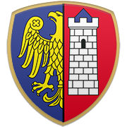 아비스파 후쿠오카 엠블럼